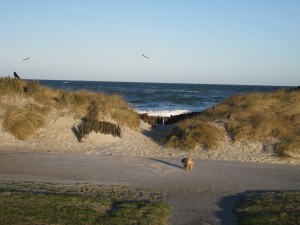 Bild: Komfortabel und modern eingerichtete FEWO, nur ca. 700 m vom Strand entfernt
