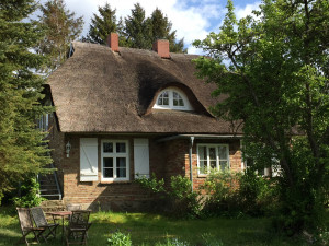 Bild: Urlaub mit Hund an der Ostsee