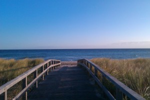 Bild: Häuschen "Sunshine Cottage" für max. 3 Pers. - Ostsee mit Hund - strandnah