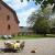 Galeriebild 2