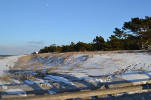 Bild: FeWo Spatzenruh für 2 Pers. in Prerow an der Ostsee