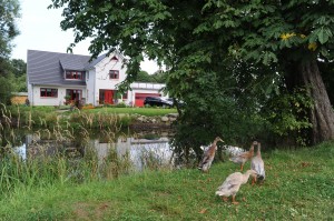 Bild: Ferienwohnung Gutshof 13, Urlaub auf gehobenem Niveau in Sildemow