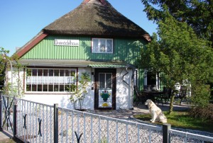 Bild: Hundefreundliches Ferienhaus im schönen Ostseebad Prerow