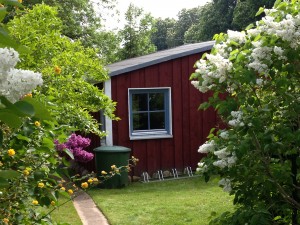 Bild: Ferienhaus "Anna" auf Rügen zwischen den Ostseebädern Binz und Sellin