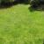 Galeriebild 2
