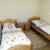 Galeriebild 2