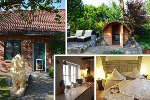 Bild: Traum-Ferienhaus für den Ostsee-Urlaub mit mehreren Hunden