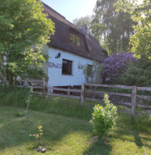 Bild: Urlaub auf Rügen, Natur pur in ruhiger Einzellage, im "Haus am Moor"