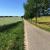 Galeriebild 2